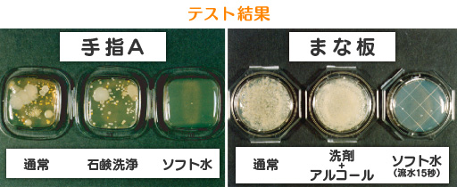 弱酸性除菌水 キレイソフト80　培地スタンプサンプリング終了後37℃24時間後の実験結果